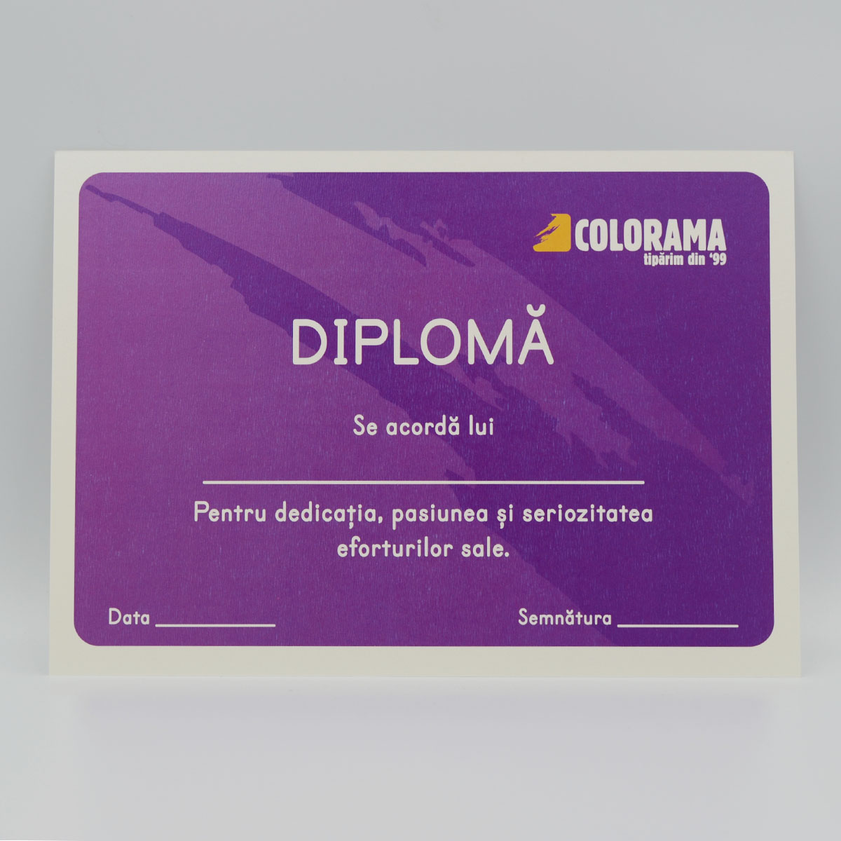 Diplome De Premiere Colorama